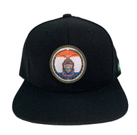 "The Bronx Seal" Lyfestyle Snapback Hat